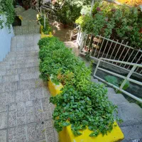 کارگر ساده و اشپز جهت باغ رستوران