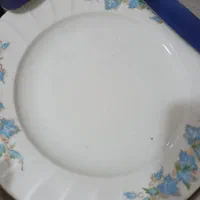 بشقاب زرین نونو