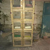 قفس کبوتر
