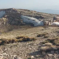 کاه سفید خریدارم