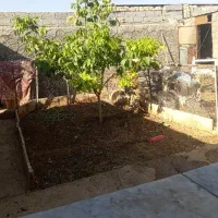 اجاره خانه ویلایی