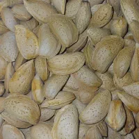 بادام شیرین آبی درجه یک