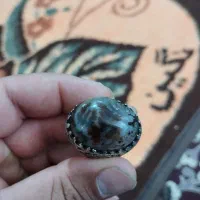 انگشتر شجر|جواهرات|شیراز, کیان آباد|دیوار