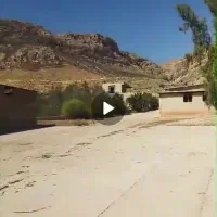 باغ پسته ساحل دریاچه نمک