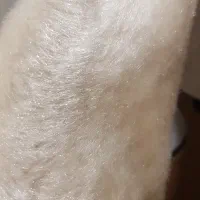 کت خز|لباس|نظرآباد, مصطفی آباد|دیوار