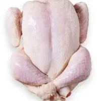 مرغ تلفاتی برای مصارف سگ گربه