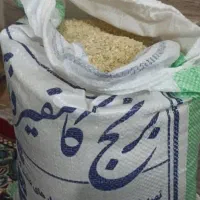 برنج کامفیروزی اصل|خوردنی و آشامیدنی|ارسنجان, |دیوار