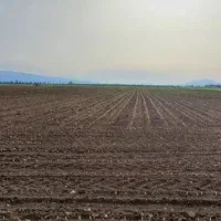 زمین-کشاورزی-به-مساحت-2هکتار-داری-حق-آبه