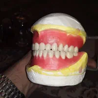 ساخت دندان مصنوعی|آرایشی، بهداشتی، درمانی|لردگان, |دیوار