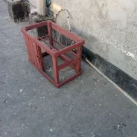 قفس|لوازم جانبی حیوانات|نیشابور, سرآب کوشک|دیوار