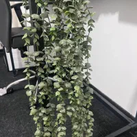 ریسه های گیاه مصنوعی مخصوص دیزاین تراس و اشپزخونه|گل و گیاه طبیعی|فردیس, فرامرزیه|دیوار