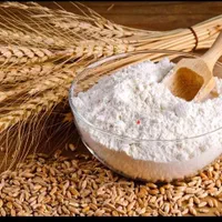 آرد نول و قنادی