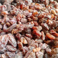 ارزانسرای کشمش عمده و خرده سلطانی