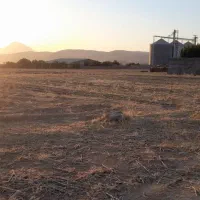 زمین کشاورزی و باغی۱۹۰۰متری چسب تویسرکان|فروش زمین و ملک کلنگی|تویسرکان, |دیوار