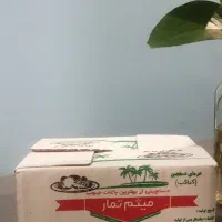 خرما تازه کبکاب میثم تمار