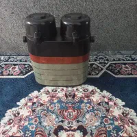فلاکس دوقلو