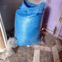 فروش گندم|گل و گیاه طبیعی|لنده, |دیوار