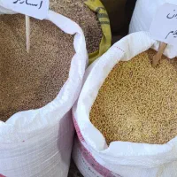 دان مرغ و پروار(ذرت سویا جو گندم کنسانتره کربنات)