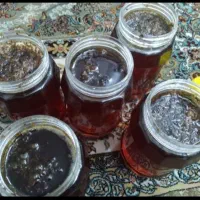 فروش عسل وحشی کوهی.دره شهر