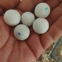 (/سنگآکواریوم زیبا/)|ماهی|قزوین, |دیوار