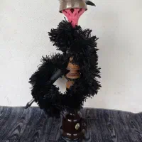 قلیون