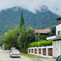 سیسنگان   توسکا  نخ شمال   زمین  باسند