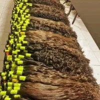 خرید موی طبیعی خربدار مواصلی مشهد صادر کننده