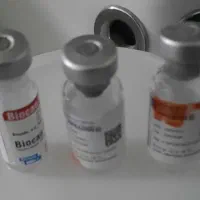 سگ پاکوتا نژاد فیندو نر همراه با باکس فی ۳ تومن|سگ|اردبیل, |دیوار