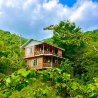 اجاره ویلا استخردار کد فایل ۳۳۳