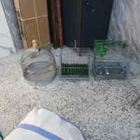 قفس پرنده