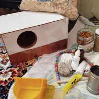 وسایل عروس هلندی