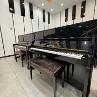 پیانو آکوستیک|پیانو، کیبورد، آکاردئون|شیراز, عفیف‌آباد|دیوار