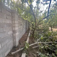 فروش باغ ۱۰۰۰متری سنددار چهاردیوار قانونی