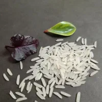 برنج فقط پاکستانی اهدای نمایندگی