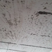 تخریب و خاک برداری ساخت نگهبانیو تعمیرات|خدمات پیشه و مهارت|کرمانشاه, |دیوار