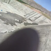 استاد کاربنای