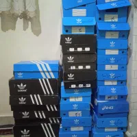 کفش مردونه و پسرونه