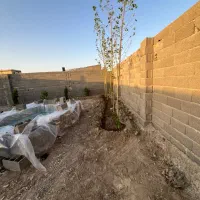 سهیلیه/زکی آباد/۲۲۵ متر چهاردیواری|فروش زمین و ملک کلنگی|رامجین, |دیوار