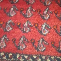 فرش کردی|فرش|ایلام, |دیوار