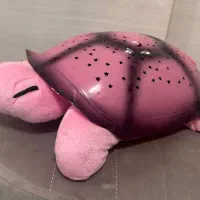چراغ خواب موزیکال شلمن