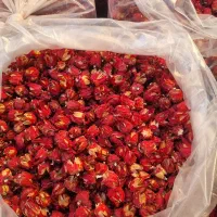 چای ترش غنچه صادراتی|خوردنی و آشامیدنی|تهران, بازار|دیوار