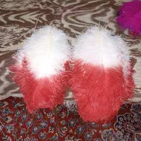 پر کلاهخود