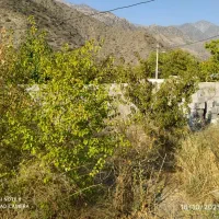 فروش ویلا باغ دلفارد|فروش خانه و ویلا|درب بهشت, |دیوار