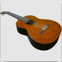 گیتار یاماها c40