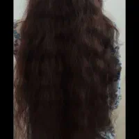 ف ر و ش و خریدار مو طبیعی بی واسطه‌ در کل استان