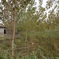 زمین|فروش زمین و ملک کلنگی|رشت, حومه رشت|دیوار