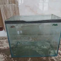 آکواریوم