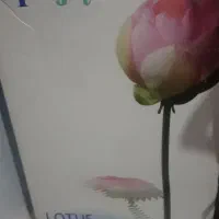 تصویه اب آکوجی