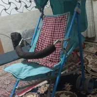 کالسکه  تاب شورتی