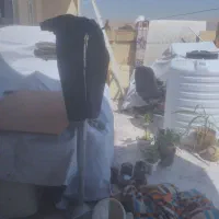 گل و گلدان